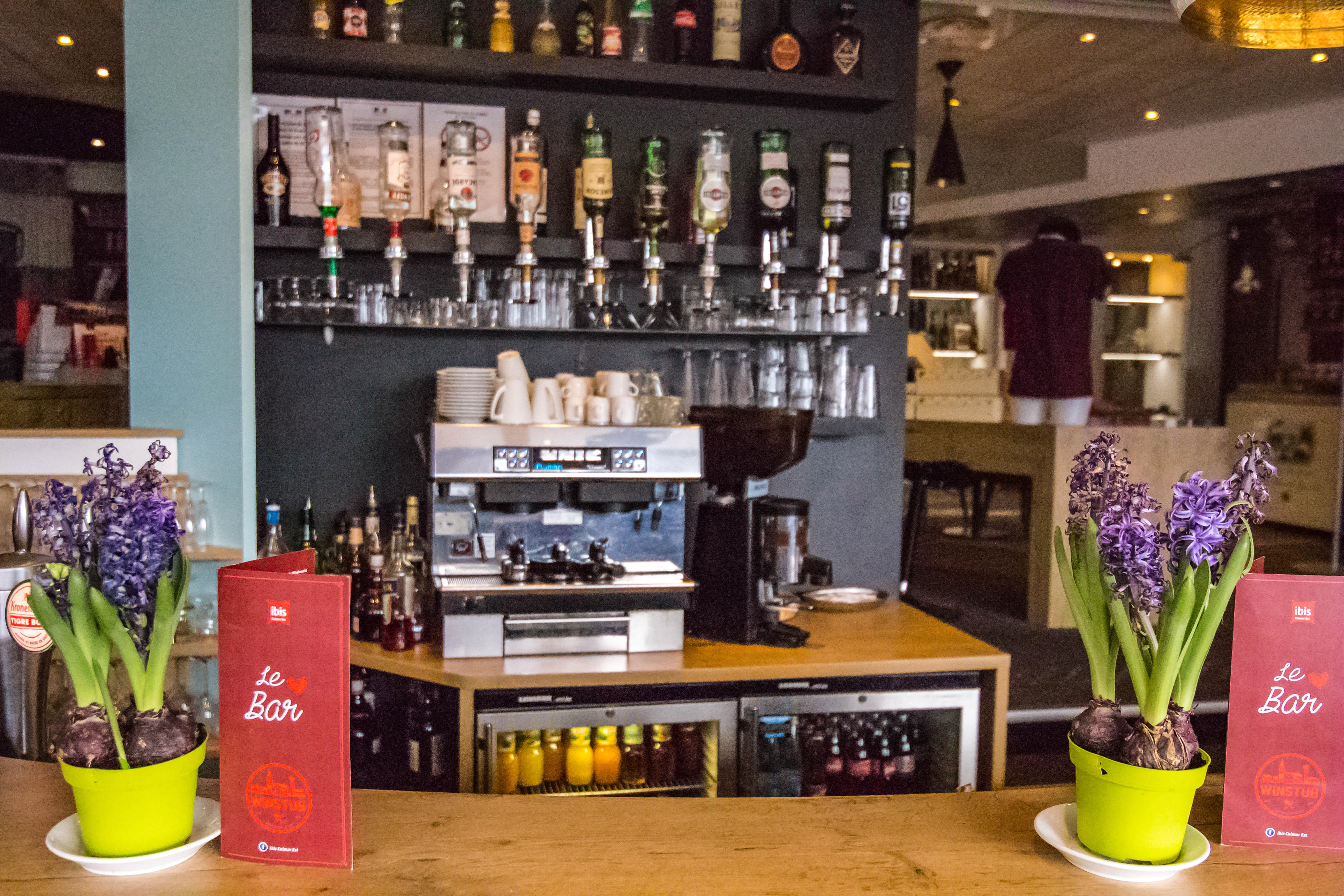 Ibis Colmar Est - Hotel Restaurant En Alsace Horbourg-Wihr Esterno foto