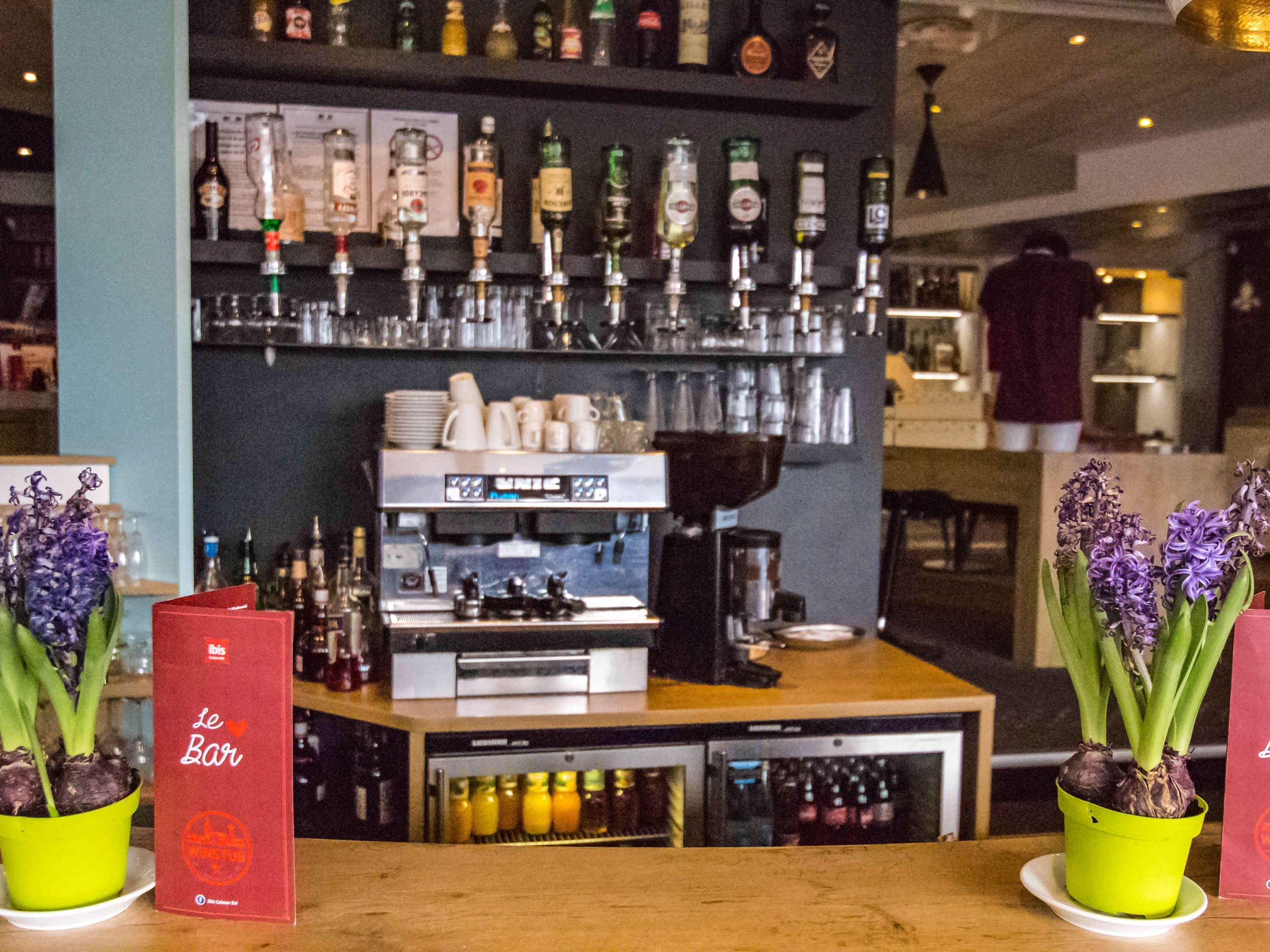 Ibis Colmar Est - Hotel Restaurant En Alsace Horbourg-Wihr Esterno foto